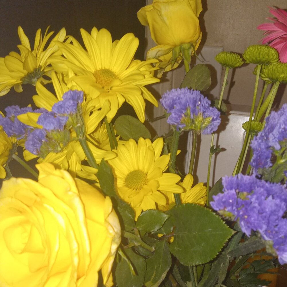 Meet your Posher, Tammie